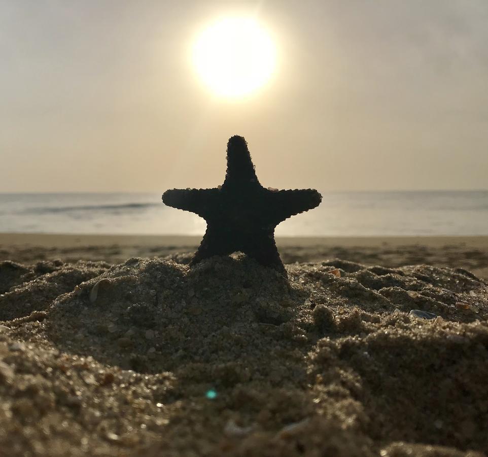 Starfish Beach Bungalows Arugam Bay Dış mekan fotoğraf